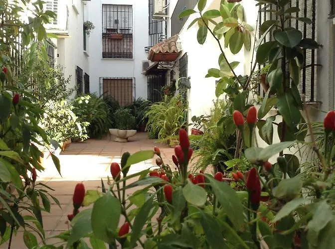 El Sefardi - Centro Historico 아파트 코르도바