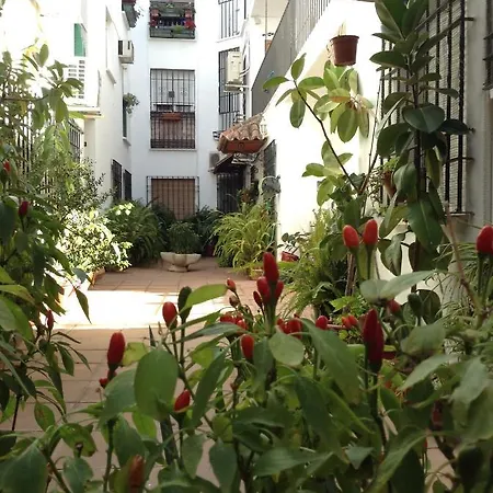 El Sefardi - Centro Historico Апартаменты Кордова